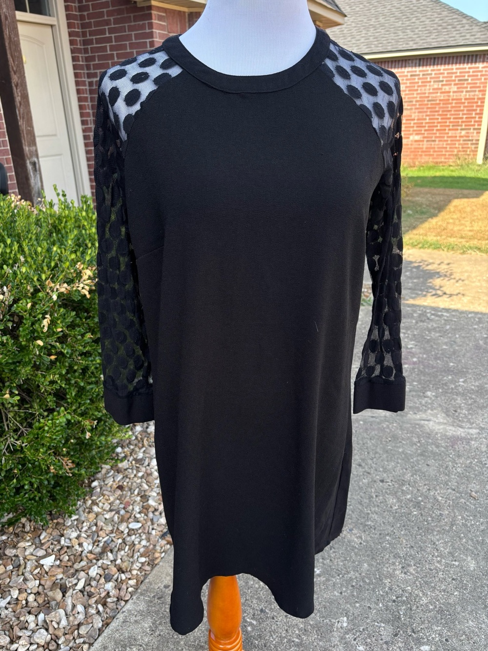 Enfocus Studio Black Polka Dot Mesh Sleeve Long Sleeve Dress